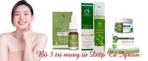 Giới thiệu về Thương hiệu Igreen